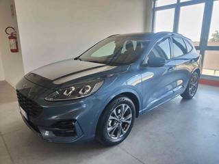 FORD Kuga 2.5 Full Hybrid 190 CV CVT 2WD ST-Line X