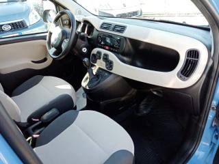 FIAT Panda usata, con Alzacristalli elettrici