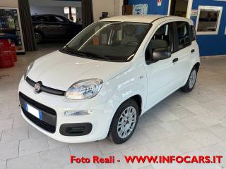 FIAT Panda usata, con Airbag Passeggero