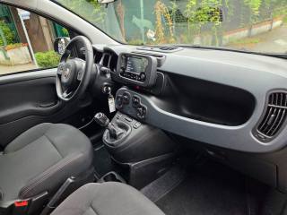 FIAT Panda usata, con Fendinebbia