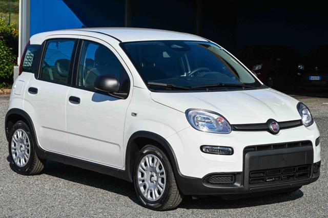 FIAT Panda usata, con Airbag Passeggero