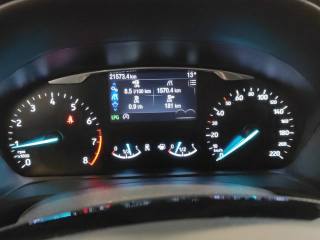 FORD Fiesta usata 14