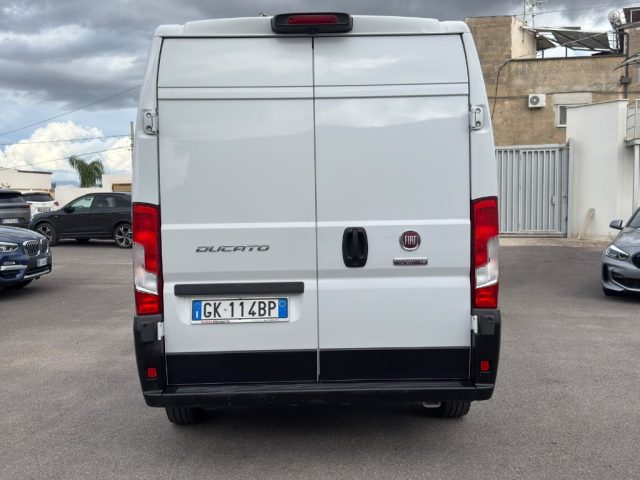 FIAT Ducato usata 15