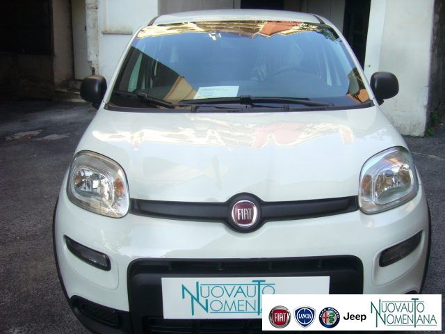 FIAT Panda usata, con Alzacristalli elettrici