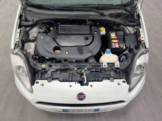 FIAT Punto usata 28