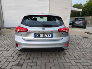 FORD Focus usata 24
