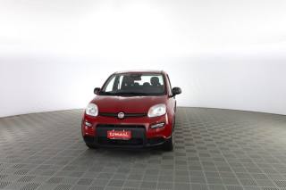 FIAT Panda Panda 1.0 FireFly S&S Hybrid Pandina