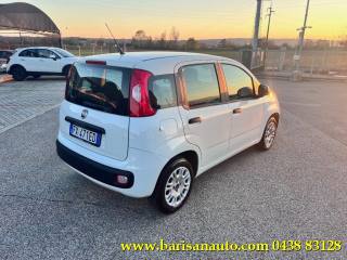 FIAT Panda usata, con Airbag Passeggero