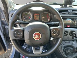 FIAT Panda usata, con Antifurto