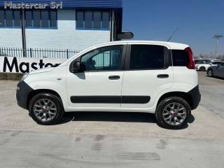 FIAT Panda usata, con Airbag laterali