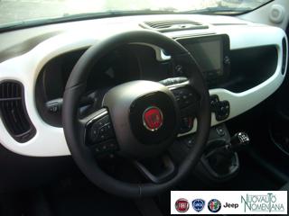 FIAT Panda Cross usata, con Controllo elettronico della corsia