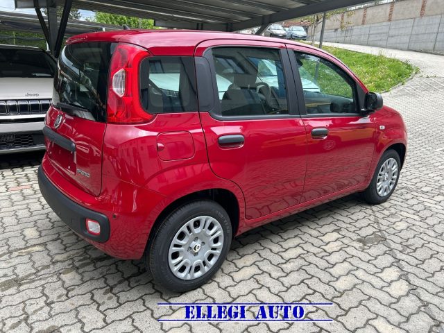 FIAT Panda usata, con Climatizzatore