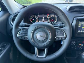 JEEP Renegade usata, con Fendinebbia