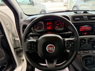 FIAT Panda usata 10