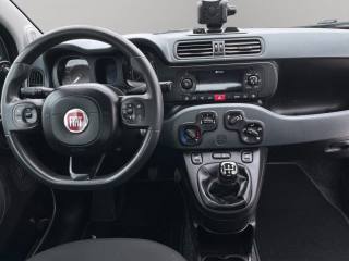 FIAT Panda usata, con Immobilizzatore elettronico
