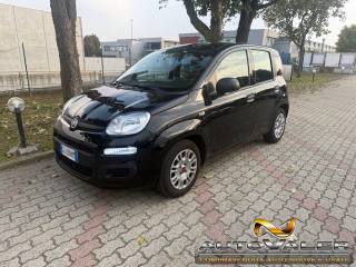 FIAT Panda usata, con Airbag