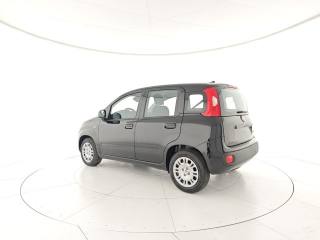 FIAT Panda usata, con Airbag Passeggero