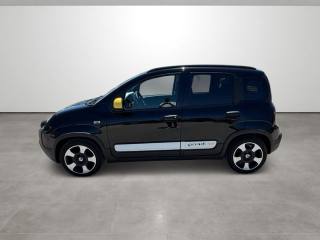 FIAT Panda usata, con Controllo trazione