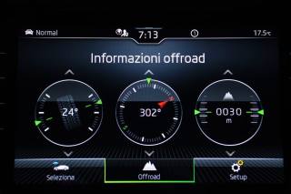 SKODA Kodiaq usata, con ESP