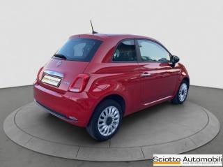 FIAT 500 usata 5