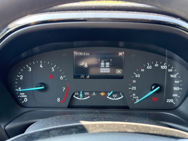 FORD Fiesta usata 14