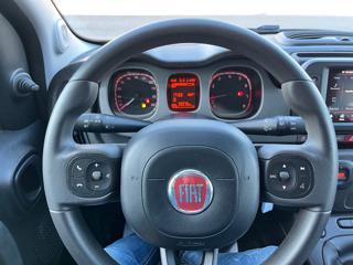 FIAT Panda Cross usata, con Antifurto