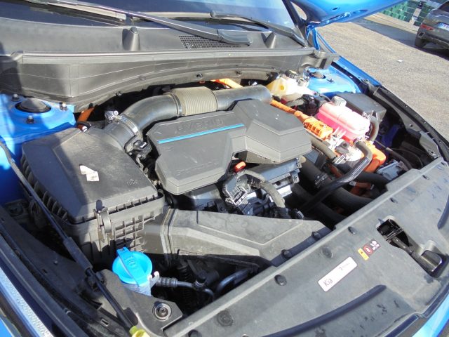 KIA Sportage usata 53