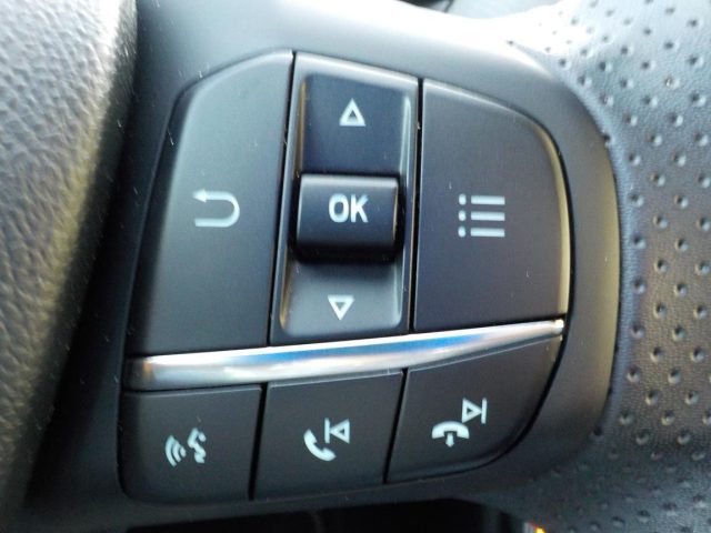 FORD Puma usata, con Vivavoce