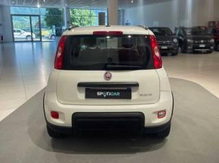 FIAT Panda usata, con Antifurto