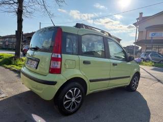 FIAT Panda usata, con Immobilizzatore elettronico