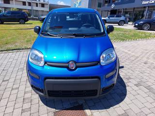 FIAT Panda usata, con Chiusura centralizzata