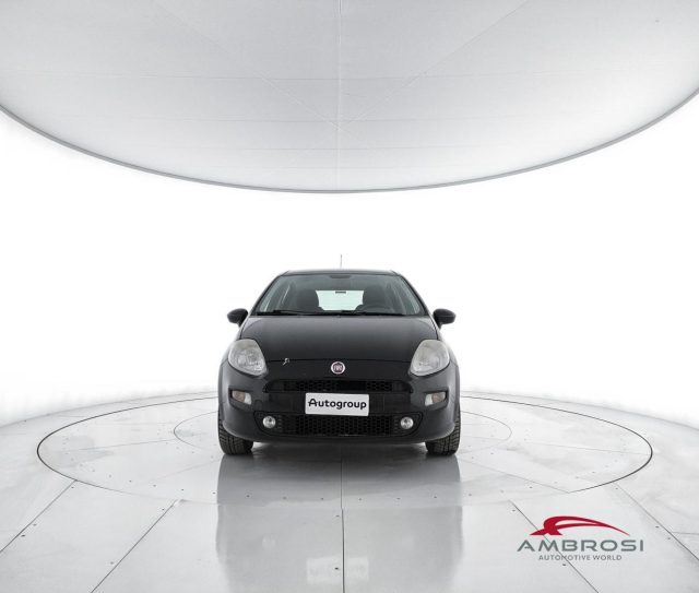 FIAT Punto usata 4