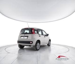FIAT Panda usata 2
