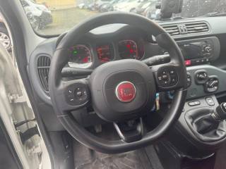 FIAT Panda usata, con Climatizzatore