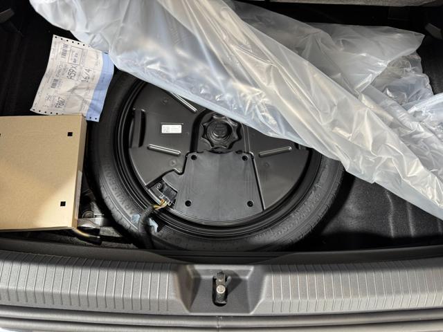 VOLKSWAGEN Golf usata, con Immobilizzatore elettronico