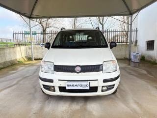 FIAT Panda usata, con Airbag
