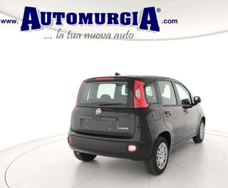 FIAT Panda usata, con Airbag Passeggero