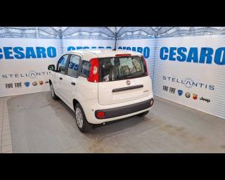 FIAT Panda usata, con Alzacristalli elettrici
