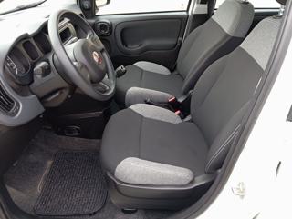 FIAT Panda usata, con Immobilizzatore elettronico