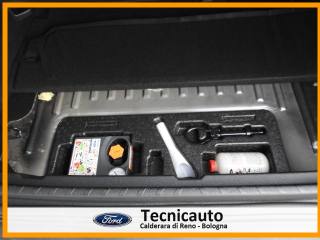 FORD EcoSport usata, con Controllo vocale
