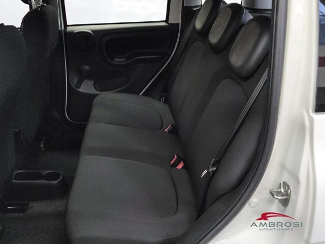 FIAT Panda usata 10