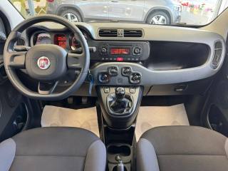 FIAT Panda usata, con Cronologia tagliandi