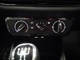 SKODA Fabia usata 19