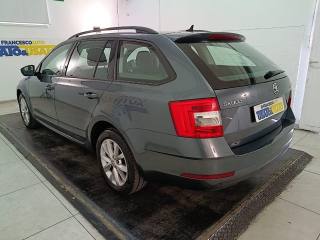 SKODA Octavia usata, con Cruise Control