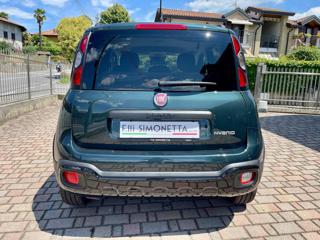 FIAT Panda usata, con Antifurto