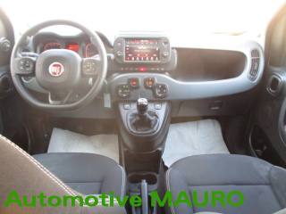 FIAT Panda Cross usata, con Airbag testa