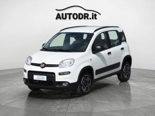 FIAT Panda usata 33