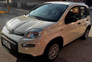FIAT Panda 1.0 FireFly S&S Hybrid Pandina 1.000 KM !!!