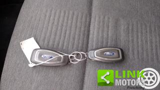 FORD Focus usata, con Bracciolo