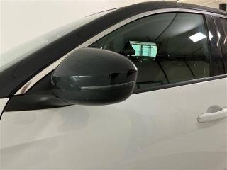RENAULT Austral usata 19